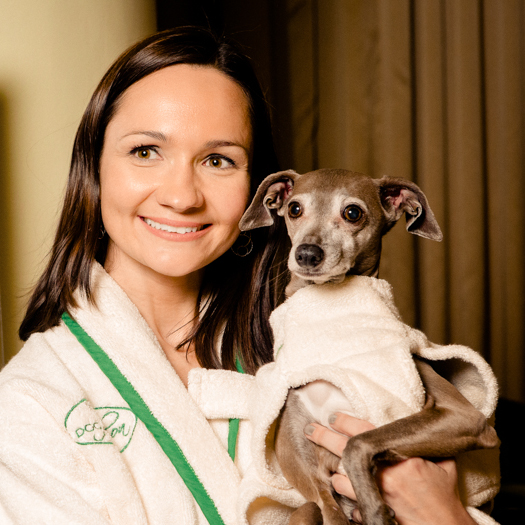 It’s A Match! The New Fashion Trend for Dogs and Their Humans