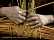 Famed Photographer & Storyteller Sally Wiener Grotta Will Speak at...
