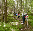 Famed New Life Hiking Spa Celebrates Fifteenth Year of Their...