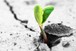 VPS.NET Launches New Lifetime Offer