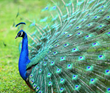 Tellico Village Tell-Events and Channel 3 - Spreading the Word About...