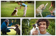 Dog Training Online Review Introduces Techniques of Training Dogs...
