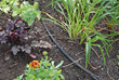 Becoming a Waterwise Gardener Has Its Benefits