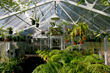 BC Greenhouses Offers Tips on how to cool your greenhouse this summer