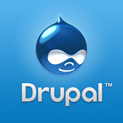 drupal website