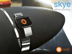 Auris skye