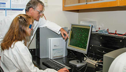 Lawrence Livermore Microbial Detection Array