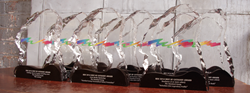 2014 Neographics Best of Category Winners
