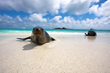 Adventure Life Offers Discounts on Galapagos Cruises
