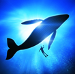 Oceans Alive 2.0: Review Examining Marine Phytoplankton Supplement...