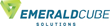 EmeraldCube Solutions Launches EmeraldVision: SaaS Based Business...