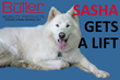 Sasha Gets a Butler Mobility Inclined Platform Lift