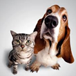 Preston Pharmacy and Home Medical Offers Prescription Compounds for...