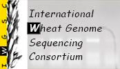 IWGSC logo