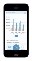 business accounting software