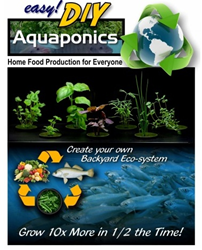 easy diy aquaponics system