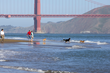 Six Places for Foggy Picnics – San Francisco Travel Association