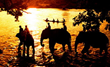 Discover the Capital of Coffee and Rubber of Vietnam-Buon Ma Thuot...