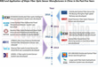 Global and China Fiber Optic Sensor Industry Report 2013-2018 Now...