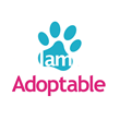 I am Adoptable - The Amazon.com of Pet Adoption?