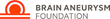 Brain Aneurysm Foundation Provides Key Support to NeuroIntervential...
