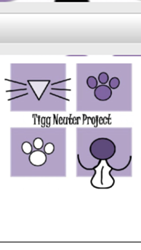 Spay and Neuter Your Pet to Save Others