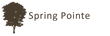 Spring Pointe Apartments With Ambience and Amenities are Now Available...