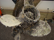 A Boat Owner's Dream - A Mussel-Free Slip Courtesy of 060Bio, LLC