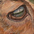 Ecofeminist Artist Sujata Tibrewala's Show Opens at Parallax...