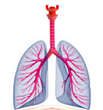 GE Healthcare Single-Width Airway Modules (E-MiniC) and Accessories...