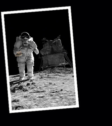Moon Landing Taste Inc. Style