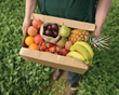 Michelman’s New HydraBan® 430 Coating for Corrugated Withstands...