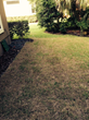 Super-Sod Reminds Homeowners to Be on the Lookout for Fall Armyworms...