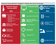 Everest Group Market Insights™ Explain Complex Global Sourcing Trends...