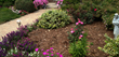 Professionals at Norway Gardens Discuss the Advantages of Using Cedar...