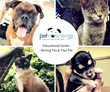 The Pet Concierge Community Center Hosts Grand Opening Event in the San Francisco Bay Area
