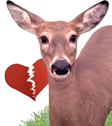 Havahart's nationwide contest seeks out the most poignant Deer John rejection letters delivered to damaging deer.