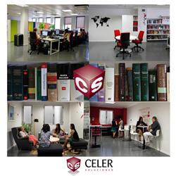 translation company