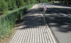 Drivable Grass Road Shoulder