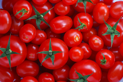 Farmers' markets can offer sustained growth.