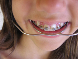Wise can help dentists find success.