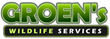 Swans Bred and Raised by Groen’s Wildlife Services Featured in...
