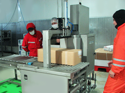 Mosca TRS-4