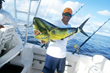 Catch a Great Deal with Villa del Palmar at the Islands of...