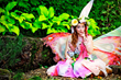 2014 Minnesota Renaissance Festival Opens August 16