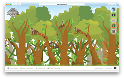 Exploring the African rainforest.