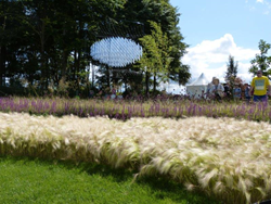 See The Wind Garden