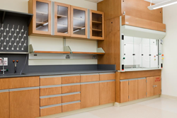 Hamilton Scientific's lab workstations, fume hoods and work surfaces for education, healthcare and industrial laboratory markets