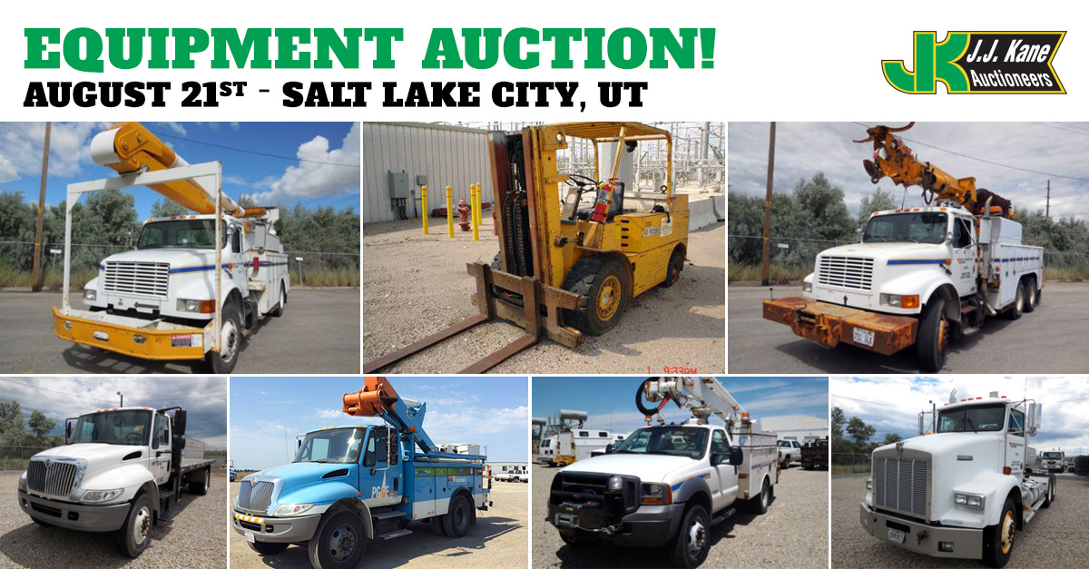 Large Public Auction, Salt Lake City UT, August 21, 2014 Over 250