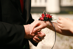free dating site with no hidden fees
